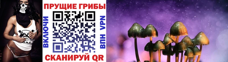 мега ссылка площадка как зайти Приозерск Псилоцибиновые грибы Magic Shrooms наркошоп